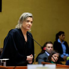 Repatriação de menores: aplicação da Convenção da Haia é sexista, diz advogada ao STF
