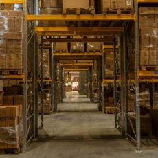 Compras públicas e prorrogação da contratação vencedora