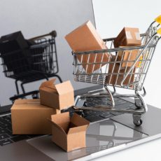 No limite da inovação: e-marketplace e almoxarifado virtual em compras públicas