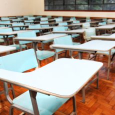 Universidade pública no Brasil: balanço e desafios