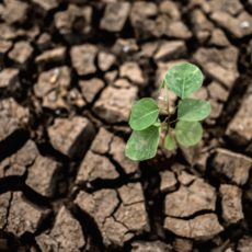 Indo além dos bilhões de dólares para a transição ecológica