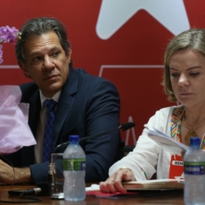 Os riscos para Haddad com Gleisi assumindo a articulação política