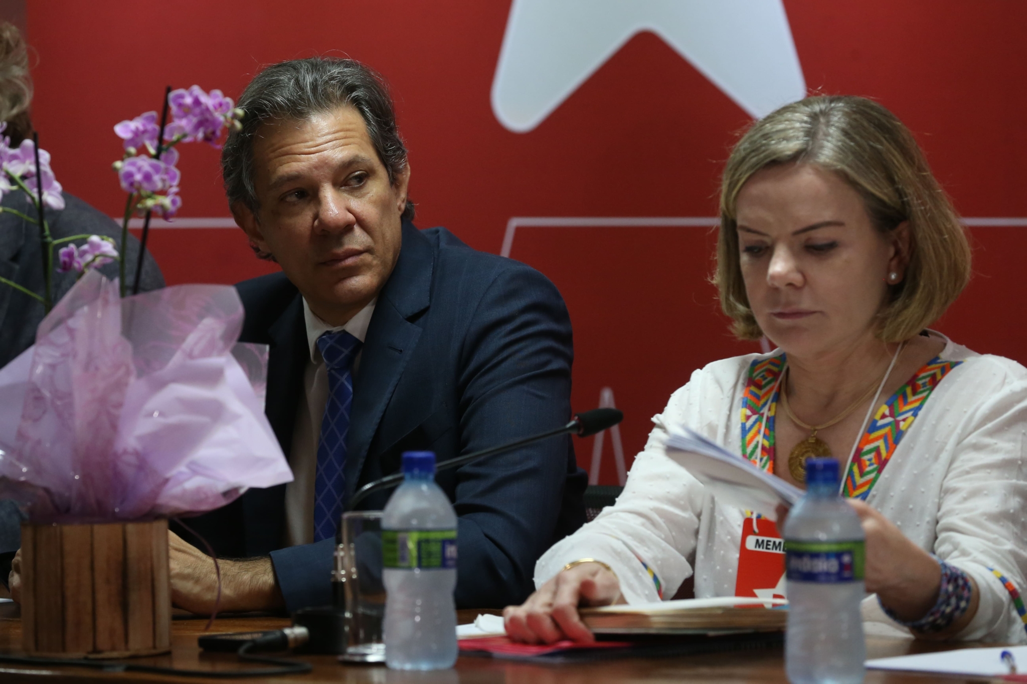 Os riscos para Haddad com Gleisi assumindo a articulação política