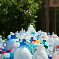 Valorização da cadeia nacional da reciclagem e proibição de importação de resíduos
