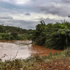 Brumadinho: Justiça determina que Vale pague auxílio emergencial a atingidos