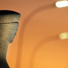 Direitos humanos e integração regional: o aporte dos tribunais constitucionais