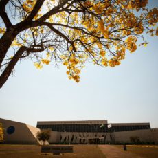Cobrança de honorários em transação tributária: possível virada no entendimento do STJ