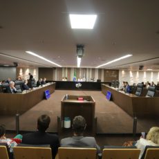 TCU e diversidade de gênero na alta administração pública