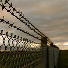 Desordem jurídica internacional: contribuição brasileira recente