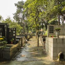 Gilmar Mendes pede destaque e julgamento sobre serviços funerários de SP é suspenso
