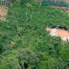 ANP deve fiscalizar venda de combustível de aviação para combater garimpo na Amazônia
