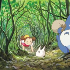 Studio Ghibli e OpenAI: o equilíbrio entre interesses protegidos juridicamente