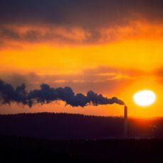 Conflito de interesse com o planeta na COP 30