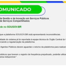 Procura por prévia de contracheques com reajuste causa instabilidade no sougov.br