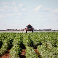 Reforma tributária, setor agropecuário e desafios da saúde pública
