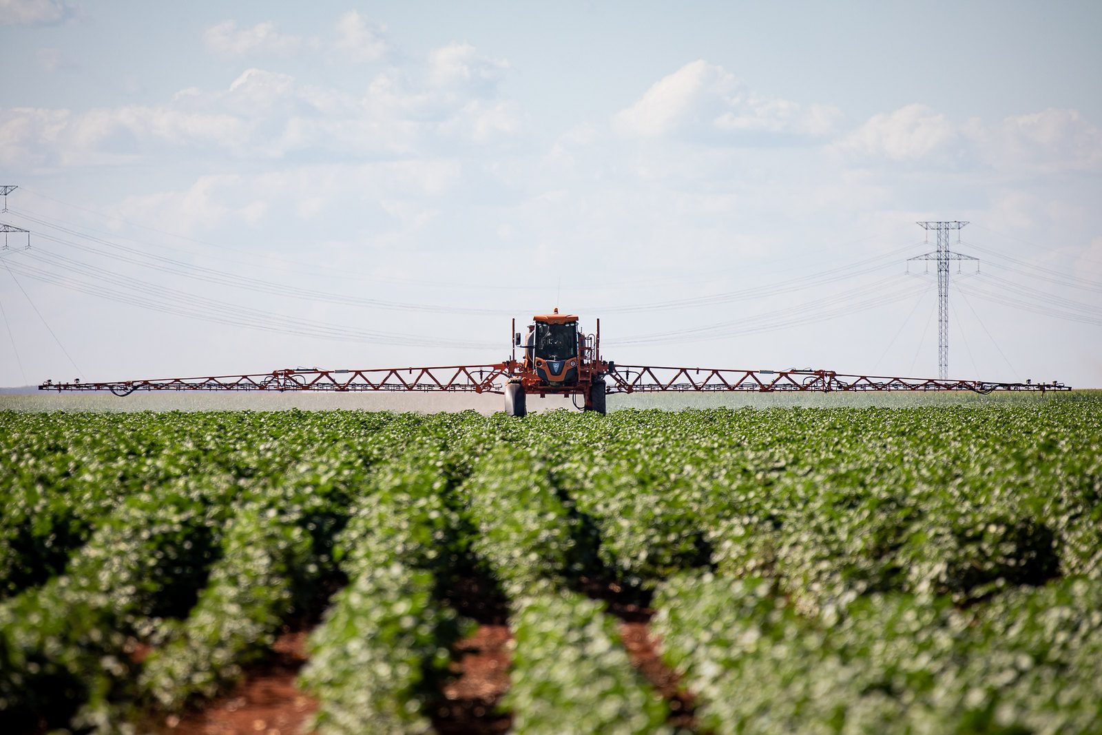Reforma tributária, setor agropecuário e desafios da saúde pública