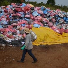Em defesa da salvaguarda socioambiental dos créditos de reciclagem