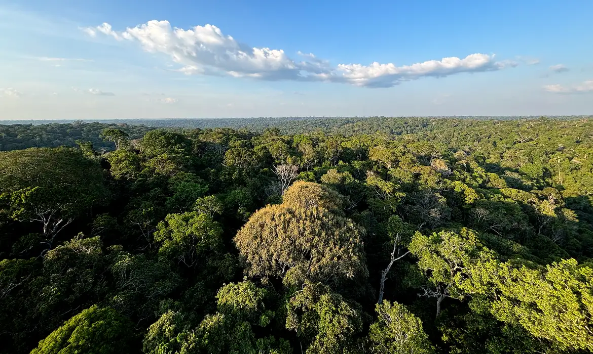 A nova Lei de Licenciamento Ambiental