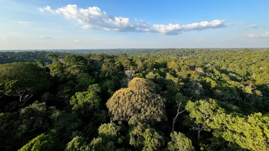 Senado pauta para votação PL que flexibiliza licenciamento ambiental após anos de impasse