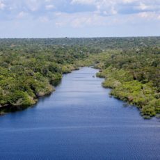 IPAM Amazônia: o início do começo