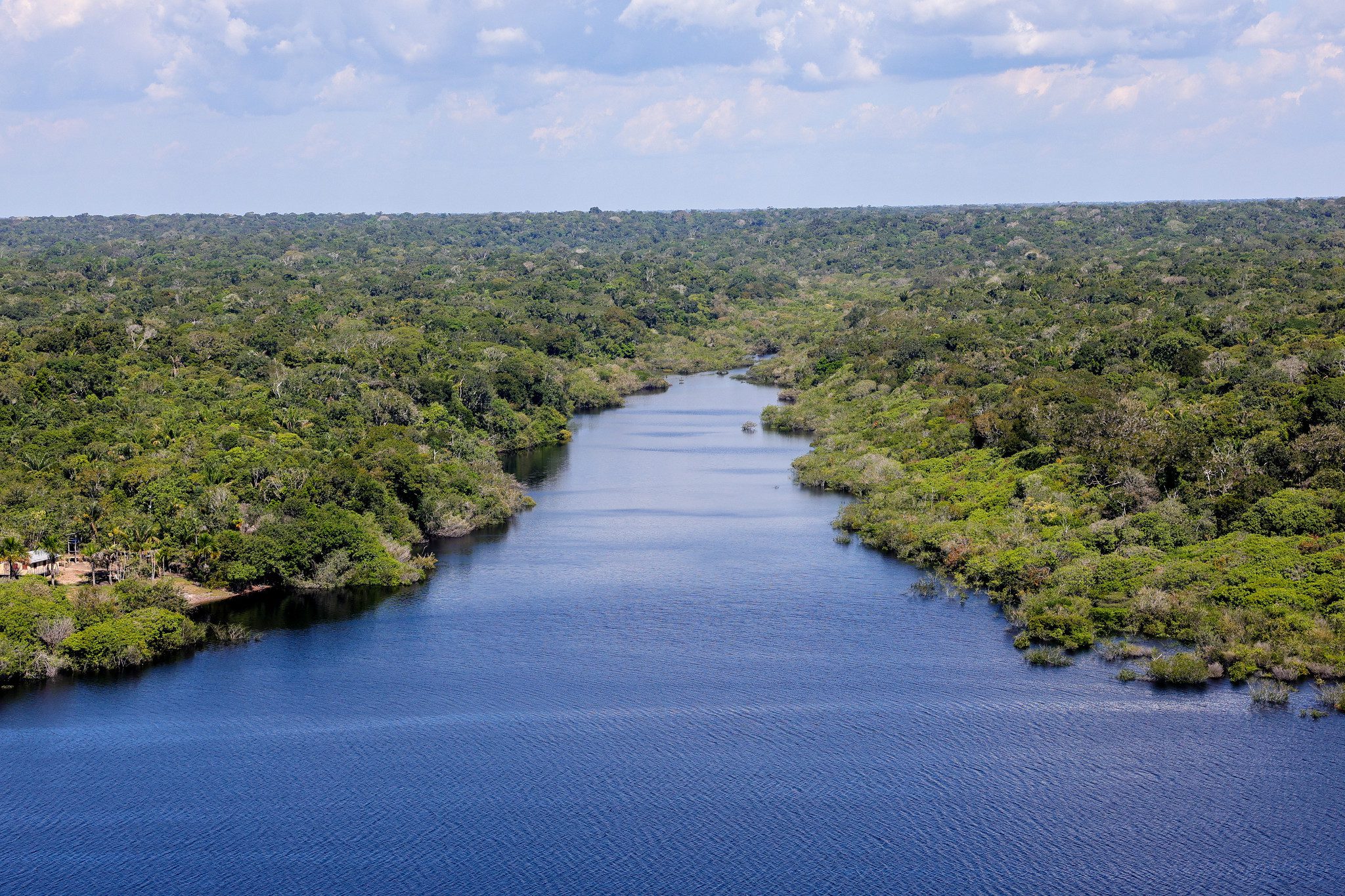 IPAM Amazônia: o início do começo