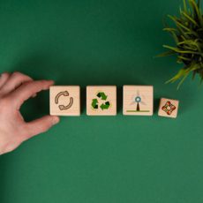 Com foco na transição, Plano de Economia Circular mira em modelo econômico mais sustentável