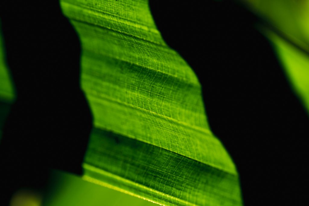 Integração dos sistemas de IA nas práticas ESG