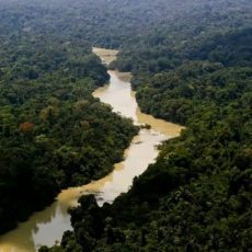 Entenda o que muda com o PL do licenciamento ambiental que será votado no Senado