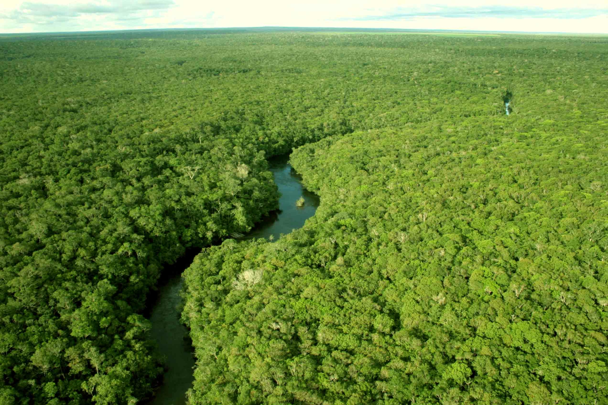 Amazônia à beira do colapso: por que a Moratória da Soja deveria ser retomada