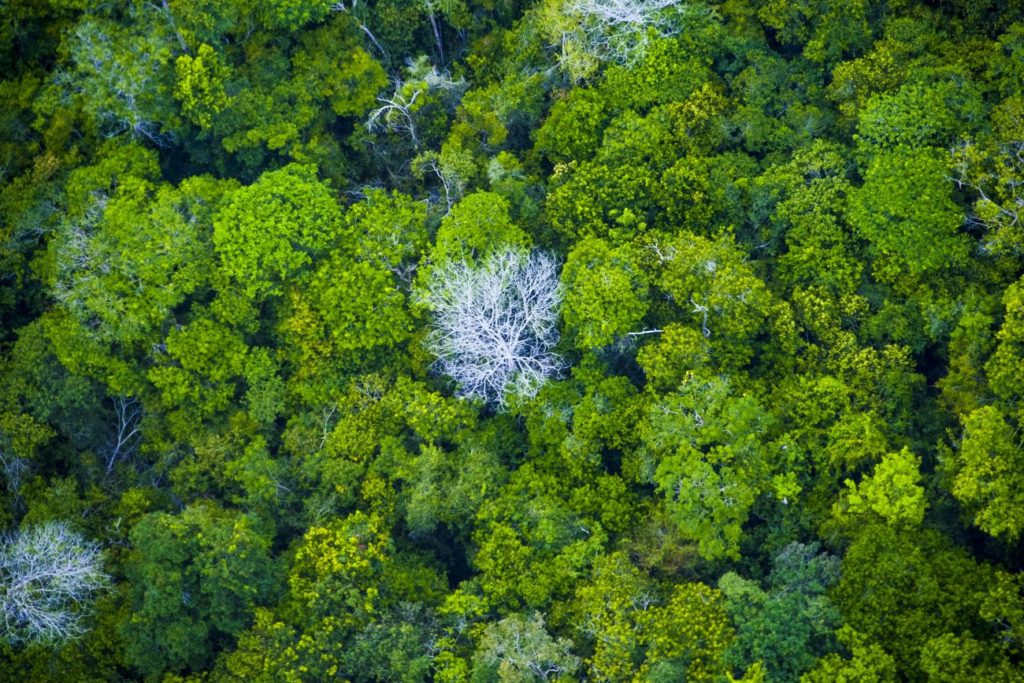 O território já existe antes de chegar ao mapa
