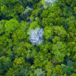 O território já existe antes de chegar ao mapa