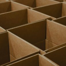 Margem de preferência ESG como estratégia de desenvolvimento sustentável