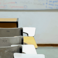 O orçamento da educação superior e o Decreto 12.448: a voz das IFES