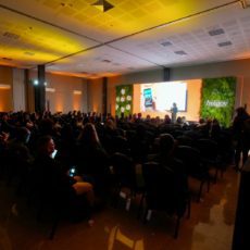 Profissional de RelGov é essencial em uma sociedade com diversidade de projetos