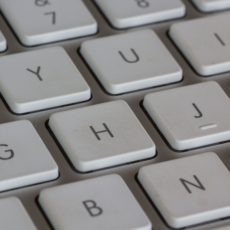 Liberdade de expressão, liberdade econômica e sustentabilidade das plataformas digitais