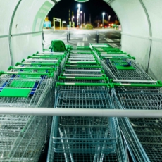 Estados podem obrigar supermercados a ter carrinhos para crianças com deficiência, diz STF