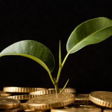 COP30 e green bonds: perspectivas e desafios