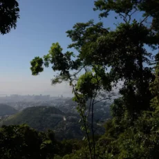 ‘Parques de papel’: desafios na implementação efetiva das unidades de conservação