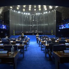 Senado aprova PL com inclusão do Simples Nacional no Reintegra