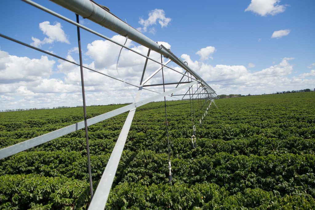 A ilegalidade da Portaria 1.118/24 do Ministério da Agricultura