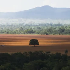 ESG, licenciamento e regulação para o desenvolvimento sustentável