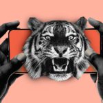 Fux convoca audiência para discutir uso de bet por beneficiário do Bolsa Família