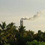 Maioria do STF vota para derrubar obrigação de seguradoras de comprar créditos de carbono