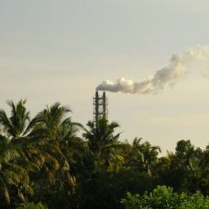 Créditos de carbono: o caminho para o futuro climático e econômico