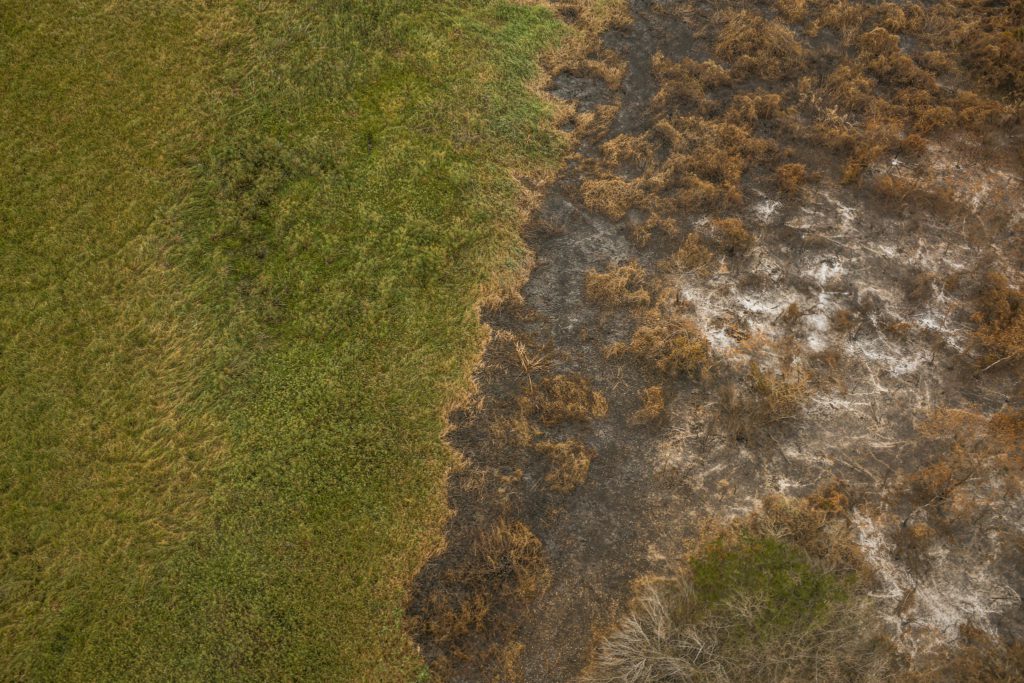 O futuro do licenciamento ambiental: o que estará em jogo no julgamento do STF