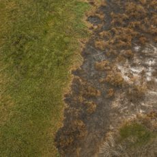 Defensoria Pública ambiental e os vulneráveis climáticos