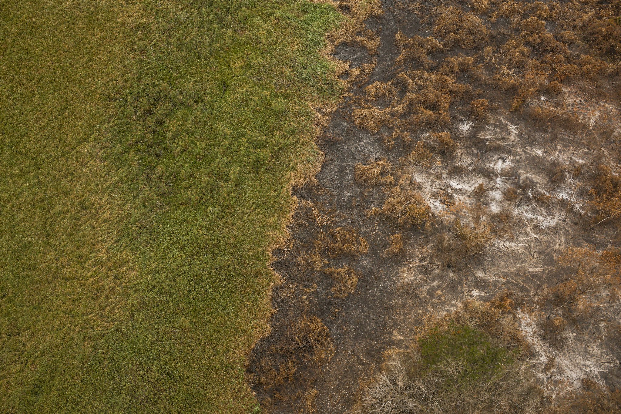 O futuro do licenciamento ambiental: o que estará em jogo no julgamento do STF