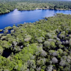Câmara aprova projeto que flexibiliza licenciamento ambiental; texto vai à sanção