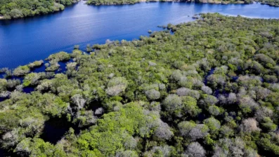 Câmara aprova projeto que flexibiliza licenciamento ambiental; texto vai à sanção