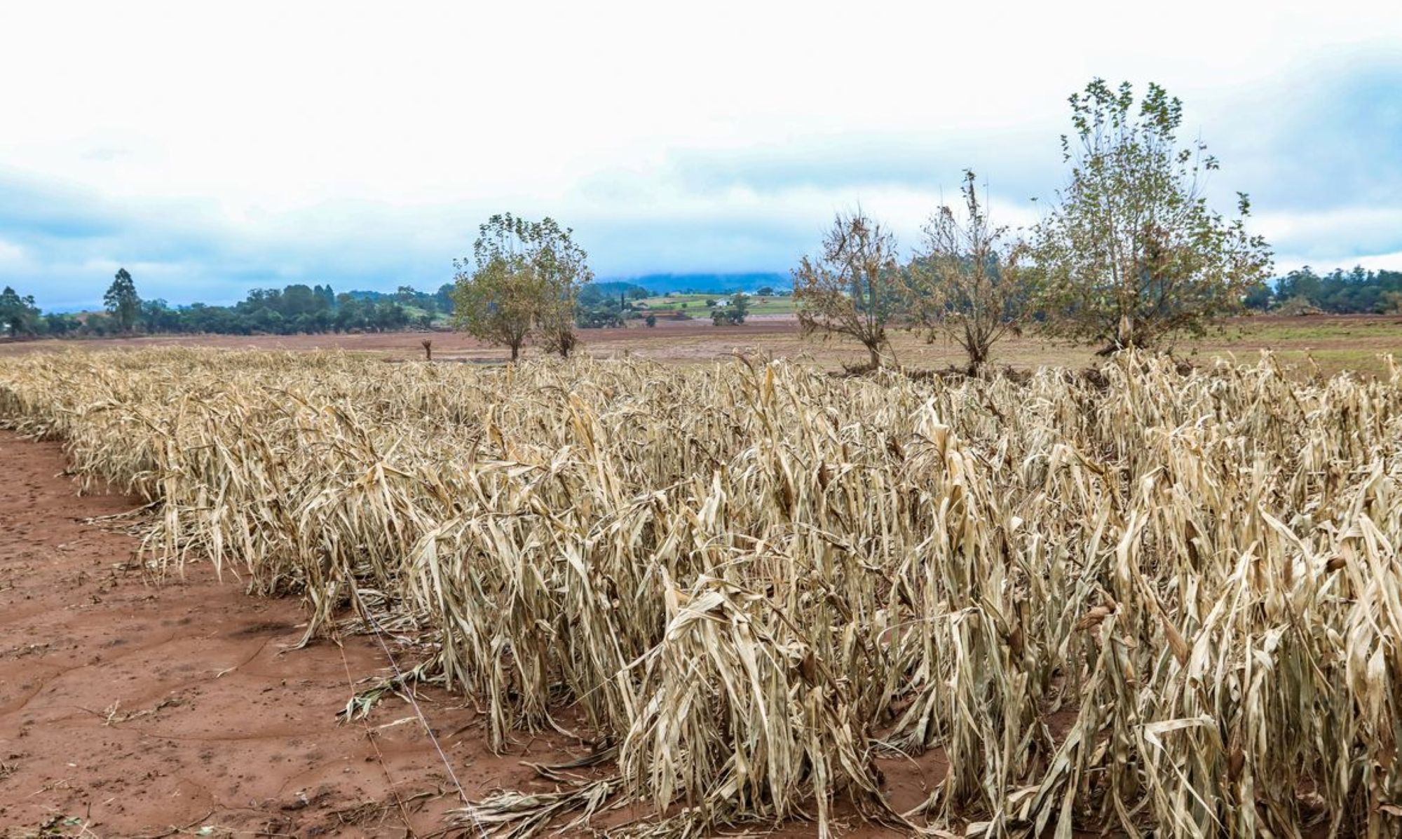 Câmara aprova renegociação de dívidas de produtores rurais com recursos do Fundo Social